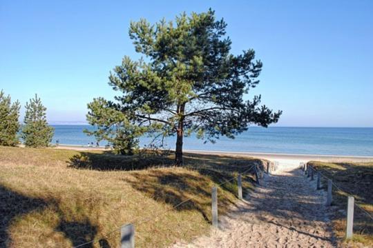 Strandvilla Aegir Mit Ostseeblick Binz Exterior photo